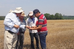 1 - Apascu 29-10-2019