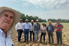 2 - Apascu 29-10-2019