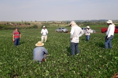 3 - Apascu 29-10-2019