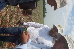 4 - Apascu 29-10-2019