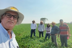 5 - Apascu 29-10-2019